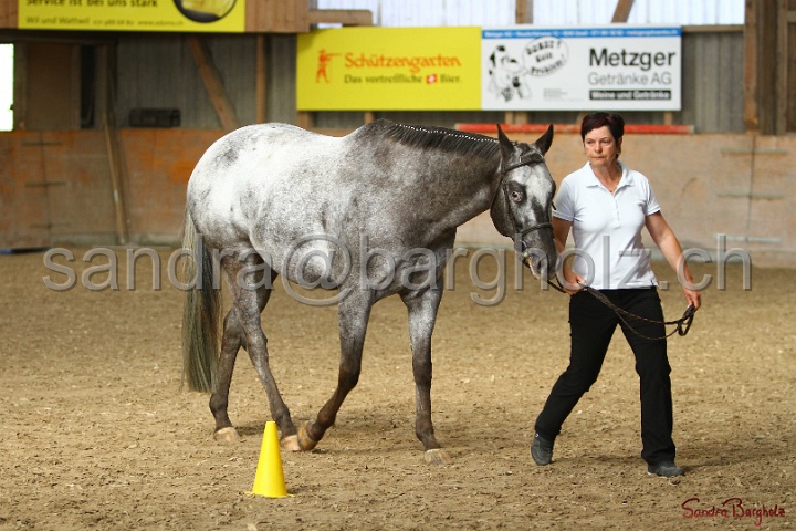 24-ApHC HIH_032.jpg